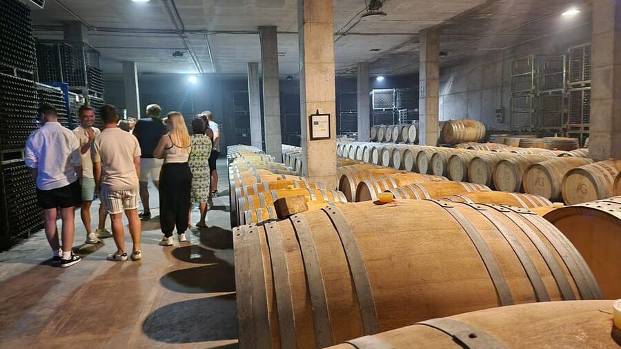 Mallorca: Wine Cellar Tour XL - 3 Wine Tastings incl. GERMAN - Who should book this Mallorca wine day