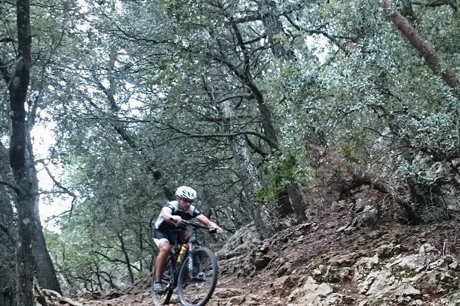 MTB guided tour in Bellver forest and Na Burguesa m.(E-MTB avai.) - Key points to know before you book