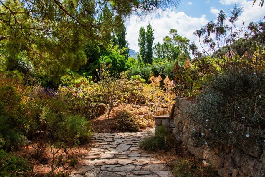 MUCBO | Jardí Botànic de Sóller - Balearic Museum of Natural Sciences - The natural sciences museum: geology, fossils, and today’s biodiversity