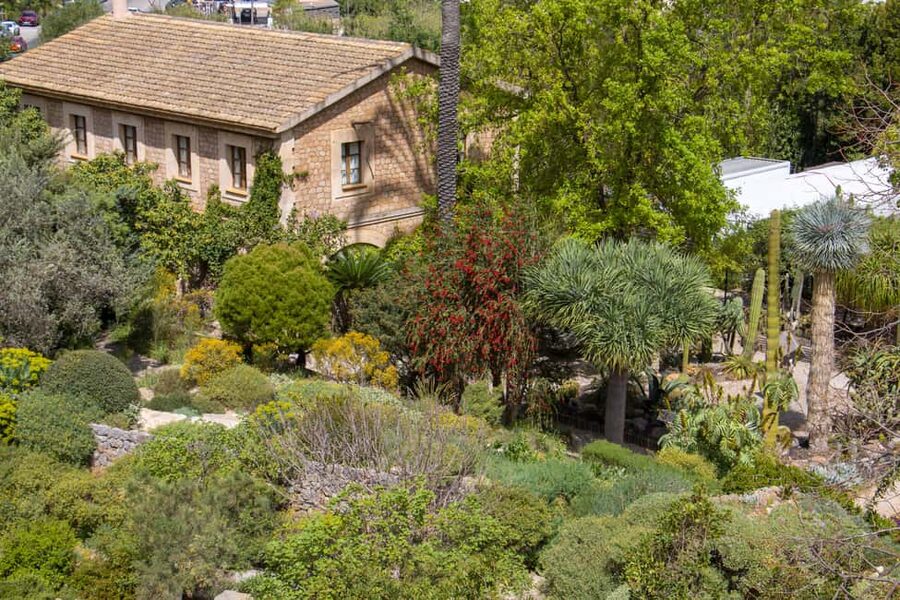 MUCBO | Jardí Botànic de Sóller - Balearic Museum of Natural Sciences - Accessibility and language notes