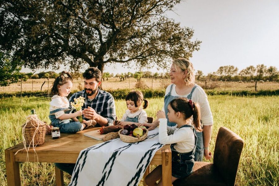 Olive plant and mill visit and tasting - Key points to know before booking