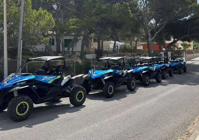 Paguera: 2 Hour Buggy Tour - Key points at a glance