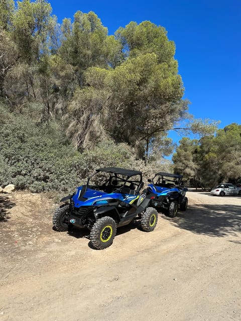 Paguera: 2 Hour Buggy Tour - What the Paguera buggy ride is really like
