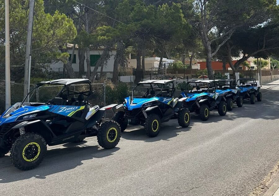 Paguera: 2 Hour Buggy Tour - First views toward Malgrats Island