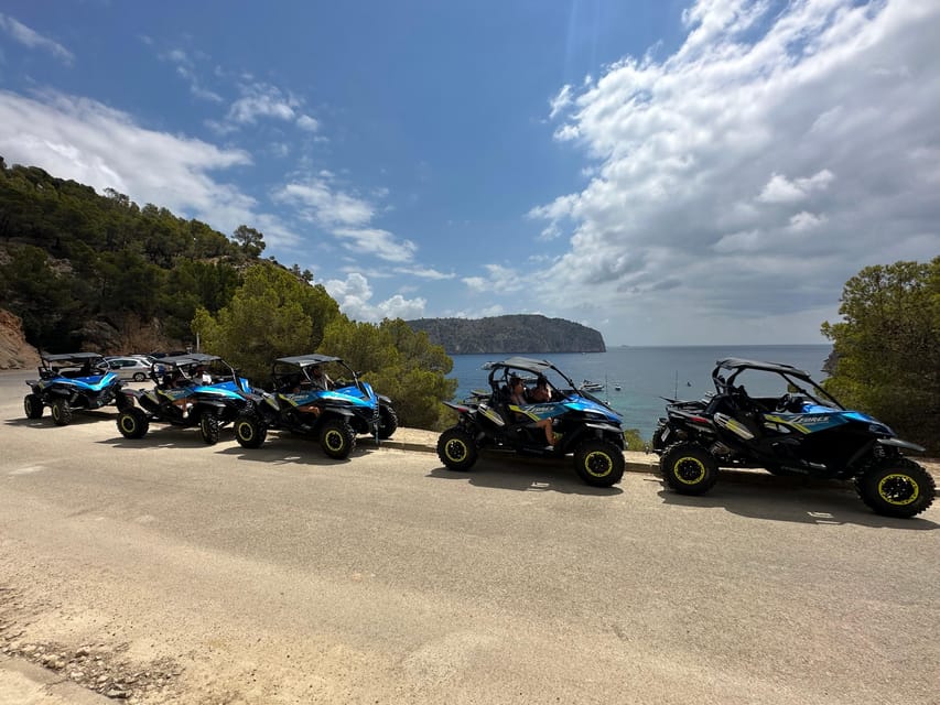 Paguera: 2 Hour Buggy Tour - The return through Camp de Mar