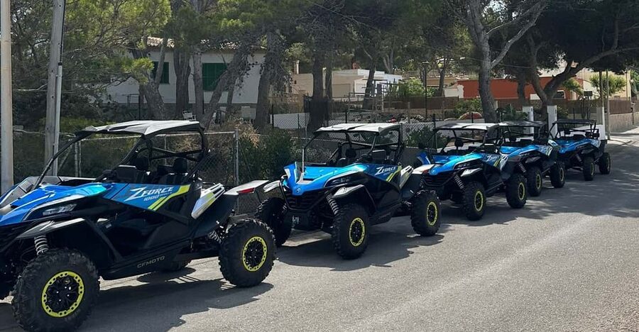 Paguera: 2 Hour Buggy Tour - What the $69 price includes