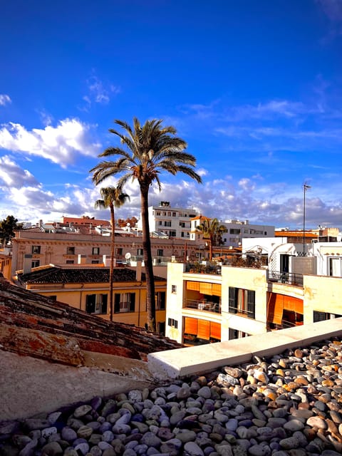 Palma authentically. Small group City tour with tapas - Why this Palma tour feels different from a standard city walk