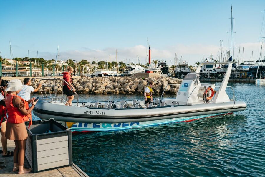 Palma Bay: 1-Hour Speedboat Adventure - Should you book the Palma Bay speedboat?