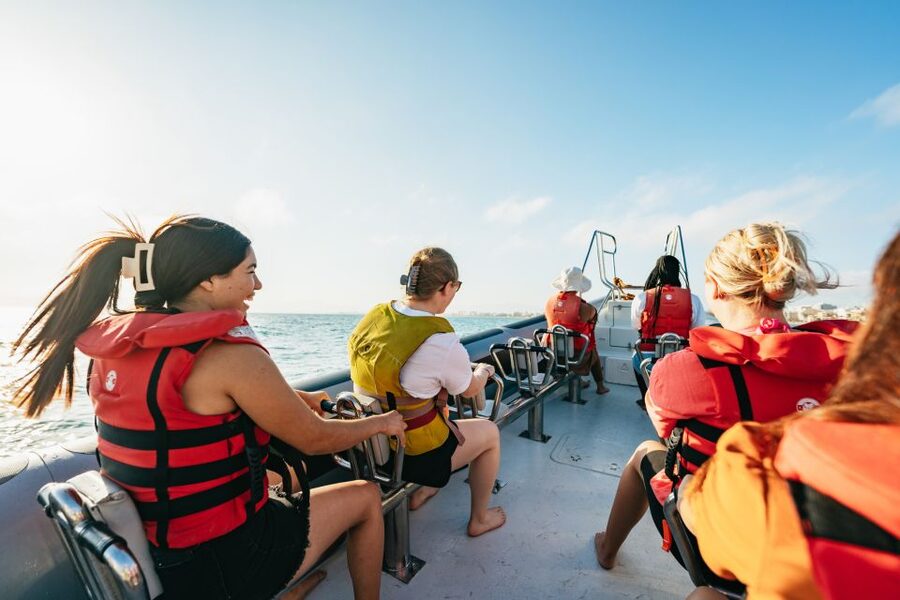 Palma Bay: 1-Hour Speedboat Adventure - The fast finish across Palma Bay