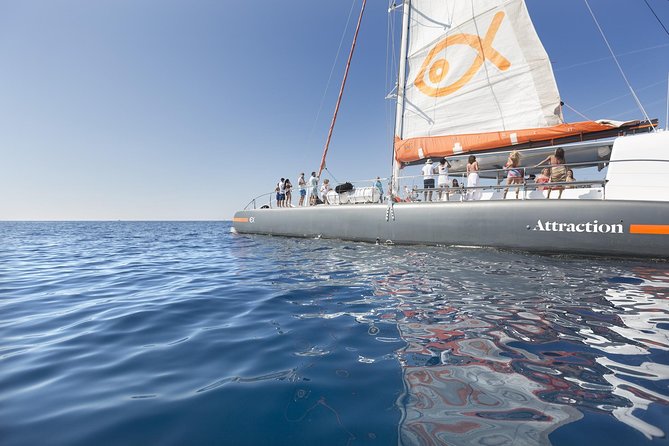 Palma Bay Catamaran Half-Day Cruise - Sailing past Palma Cathedral and the coast