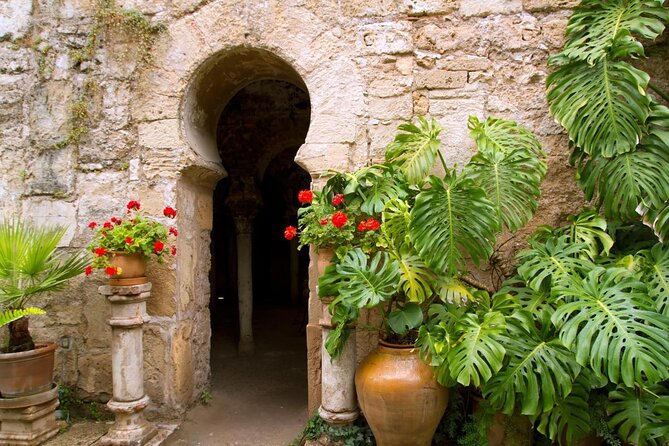 Palma Cathedral & Surroundings PRIVATE TOUR with Ticket Included - Key points to know before booking