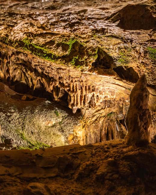 Palma: Caves of Genova Ticket & Digital Informational Video - Starting at the Genova Restaurant Reception