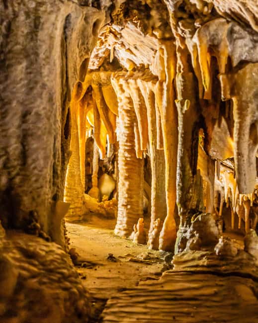 Palma: Caves of Genova Ticket & Digital Informational Video - Should You Book the Caves of Genova?