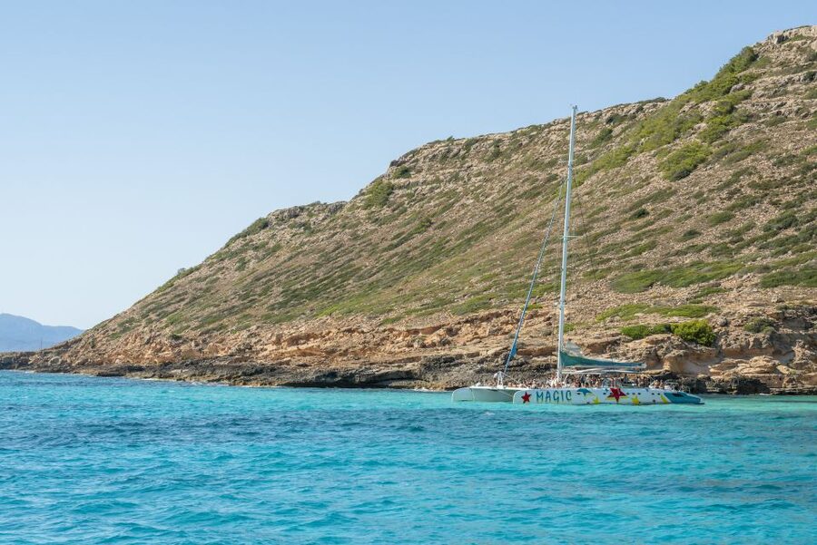 Palma de Mallorca: 5-Hour Catamaran Cruise with Lunch & Swim - How much value do you get for $69?