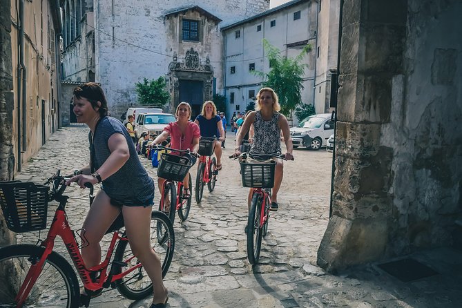 Palma de Mallorca Bike Tour - City hall, the old olive tree, and Passeig des Born