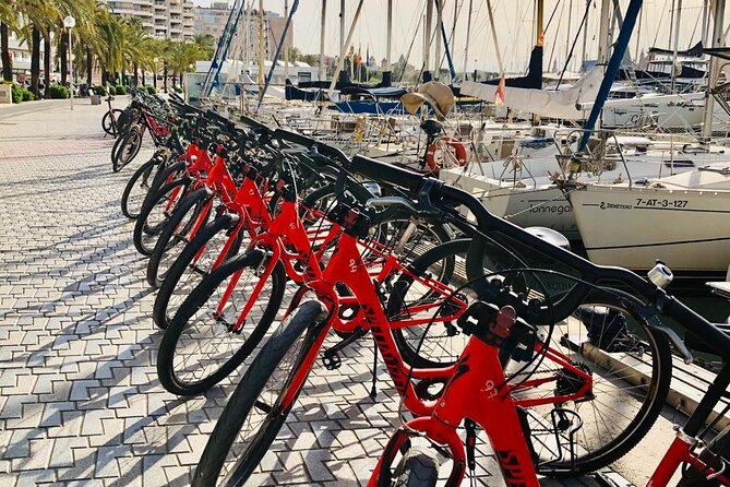 Palma de Mallorca Bike Tour with tapas - La Seu, Gaudi, and the Gothic heart of Palma