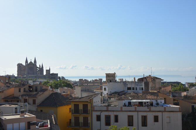 Palma de Mallorca Easy Bike Tour (Small Groups) - Parc de la Mar below La Seu