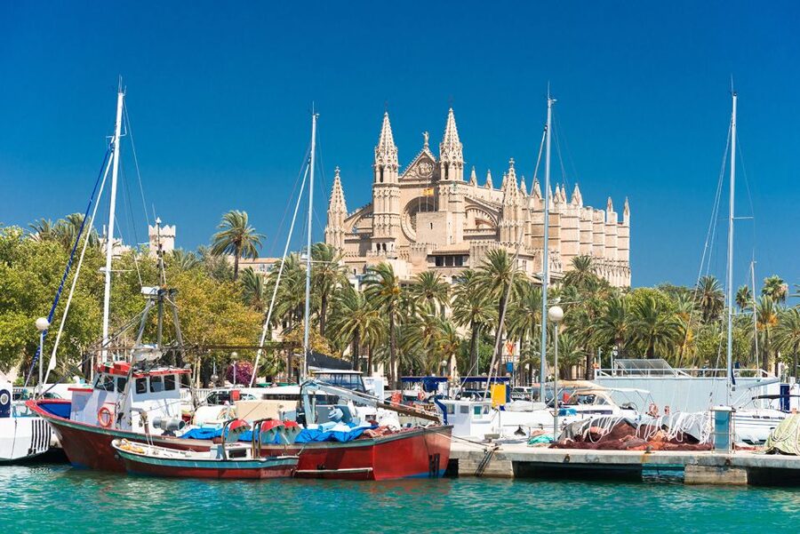 Palma de Mallorca: Free time in Palma & Boat Tour - Simple Tips for a Smoother Day