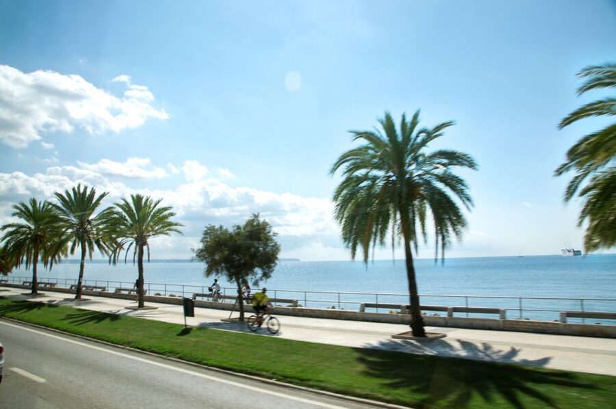 Palma de Mallorca: Full-Day Tour with Departure Options - A simple ride into Palma