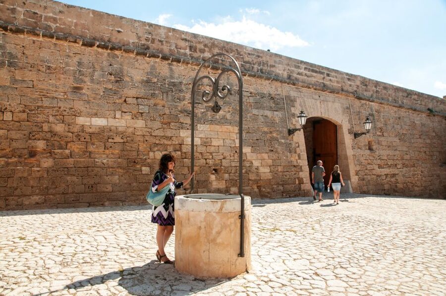 Palma de Mallorca: Full-Day Tour with Departure Options - Lunch, tapas, and planning your free time