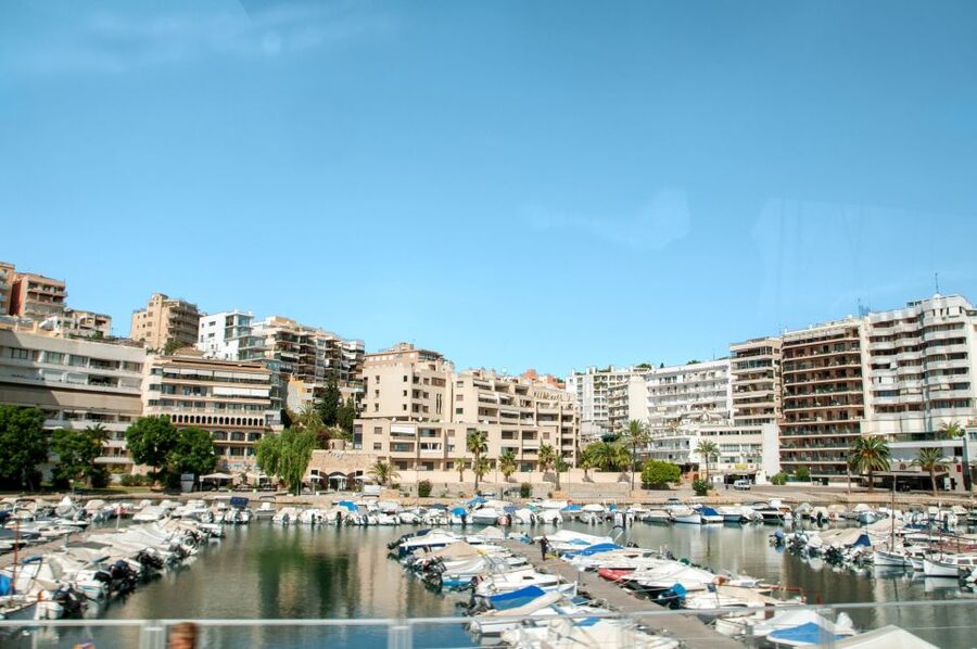 Palma de Mallorca: Full-Day Tour with Departure Options - Five hours to make Palma your own