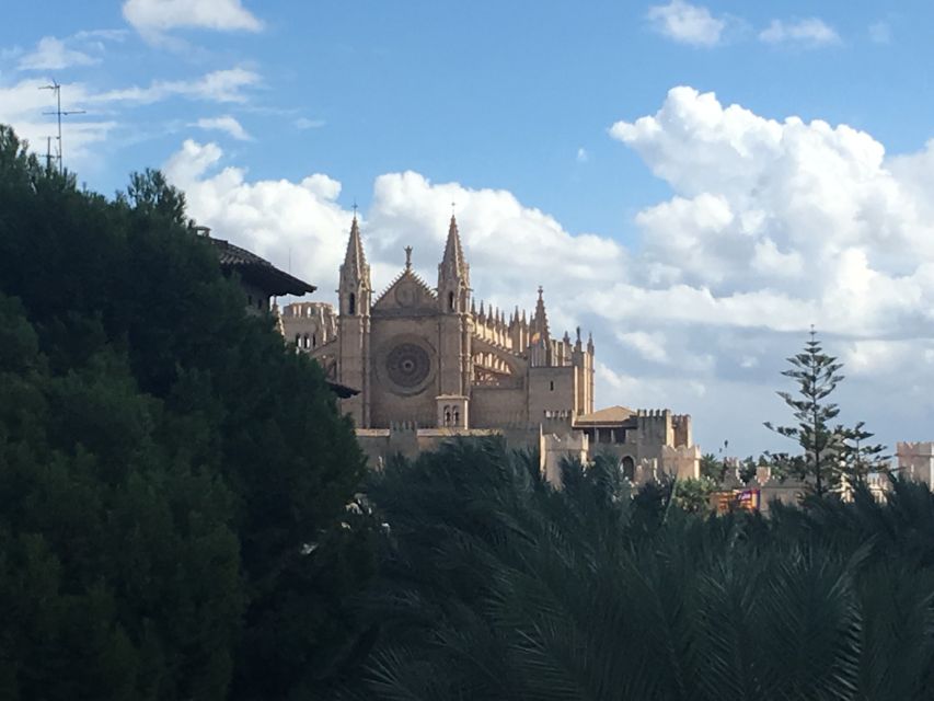 Palma de Mallorca: Guided Tour of the Old Town - Why Palma’s old town rewards a guided walk