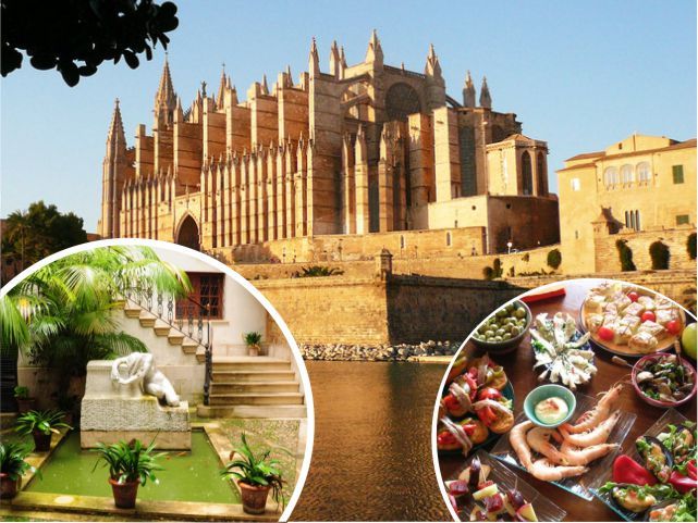Palma de Mallorca: Guided Tour of the Old Town - Starting near Av. d’Antoni Maura