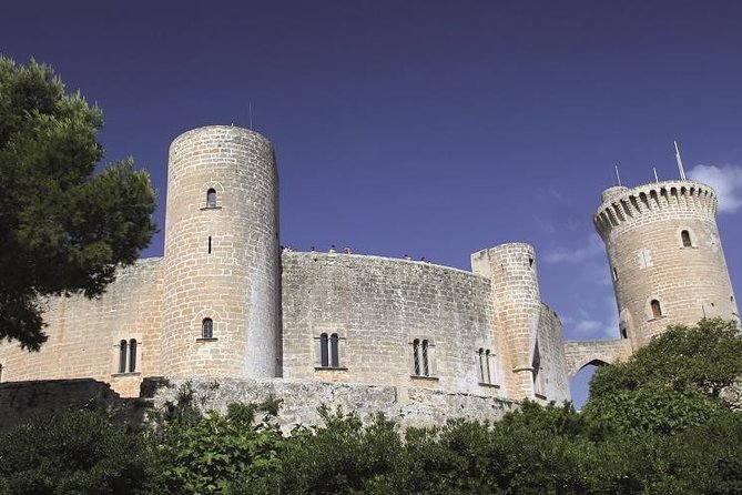 Palma de Mallorca Guided Tour with Hotel Pick up - La Seu, Palma’s great Gothic landmark