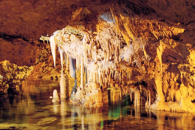 Palma de Mallorca Half-Day to Caves of Hams, Blue Cave and film - What this Mallorca half-day trip really offers