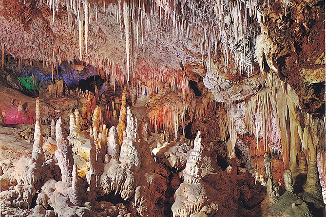 Palma de Mallorca Half-Day to Caves of Hams, Blue Cave and film - Who will enjoy this tour most