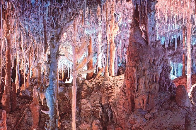 Palma de Mallorca Half-Day to Caves of Hams, Blue Cave and film - Timing, comfort, and practical planning