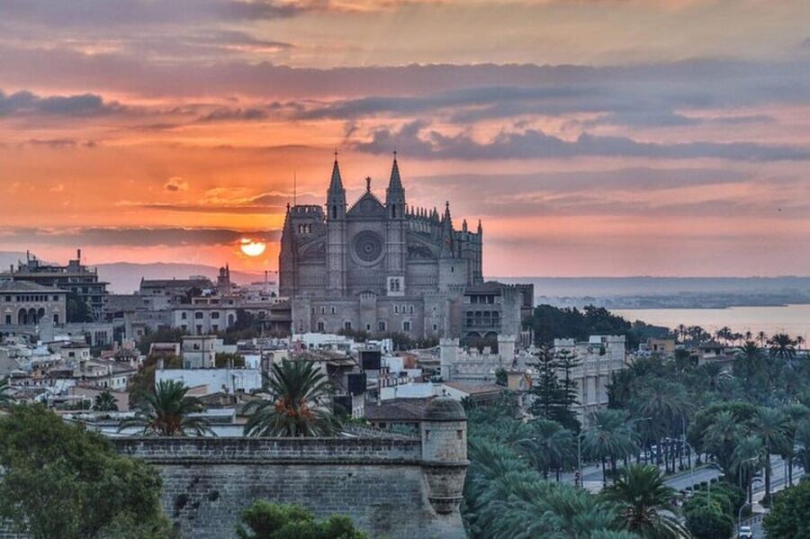Palma de Mallorca : Must see Walking Tour With A Guide - Starting on Passeig del Born