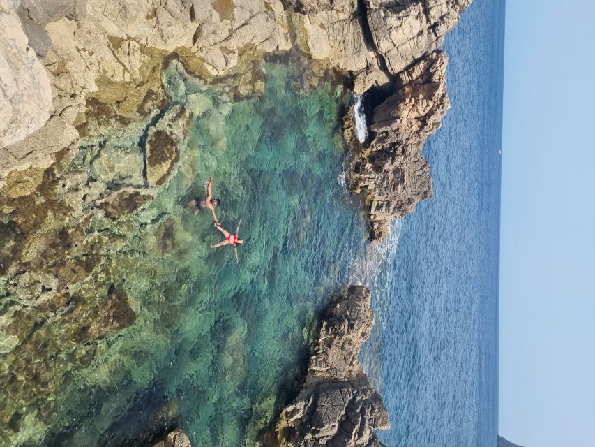 Palma de Mallorca: North Coast Nature Escape Day Tour - Why this north coast outing feels different