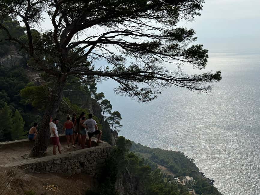 Palma de Mallorca: North Coast Nature Escape Day Tour - Is this tour physically demanding?