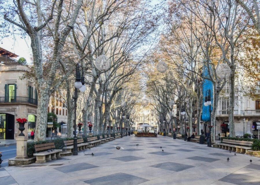 Palma de Mallorca: Old Town Guided Tour & Cathedral Visit - Practical ways to make the day run smoothly