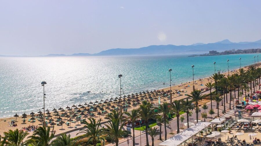 Palma de Mallorca: Palma and Playa de Palma - What the $51 price really covers