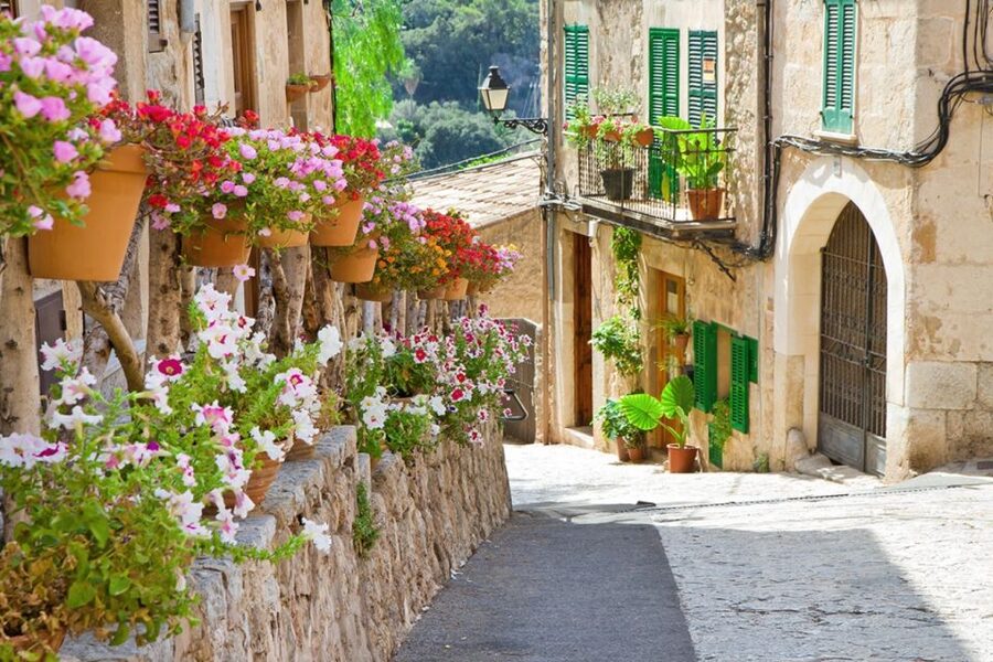 Palma de Mallorca: Palma and Valldemossa free time - What the guide does, and what you do yourself
