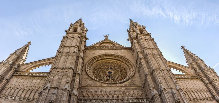 Palma de Mallorca: Palma and Valldemossa free time - Booking details that affect your decision