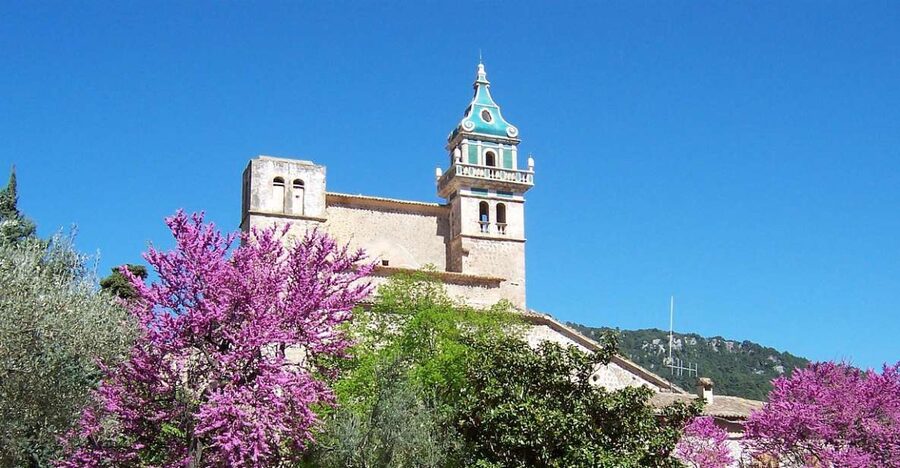 Palma de Mallorca: Palma and Valldemossa free time - Palma free time: choose old streets or shops