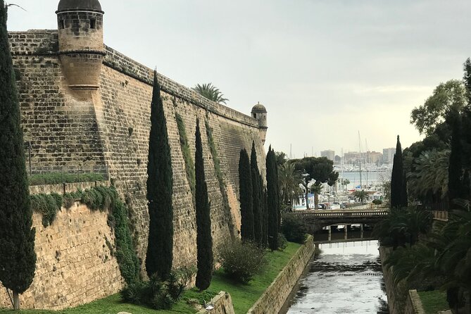 Palma de Mallorca: PRIVATE Local Food And Cathedral Experience - Should you book this private Palma tour?