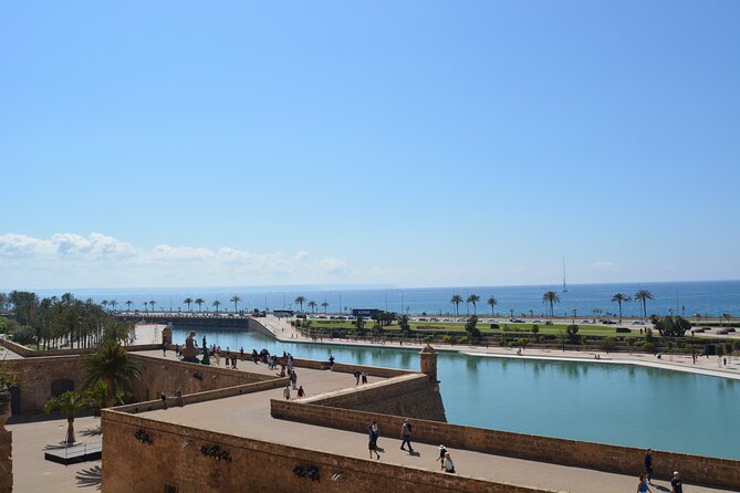 Palma de Mallorca Shore Excursion Bike Tour (Transfer Included) - Es Baluard gives you the best early orientation
