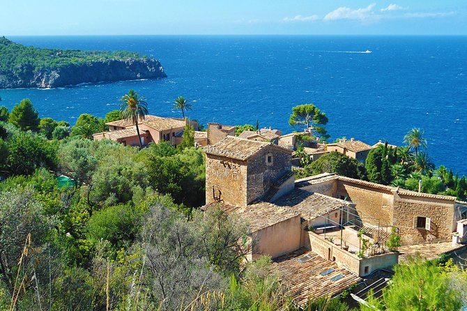 Palma de Mallorca Shore Excursion: Palma, Deia and Sa Foradada - Who should book this Mallorca shore excursion?