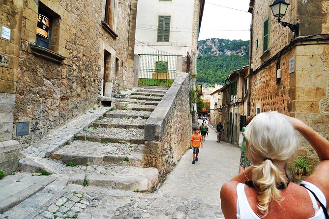 Palma de Mallorca Shore Excursion: Private Tour of Valldemossa, Soller and Serra de Tramuntana - Who should book this Mallorca shore excursion?