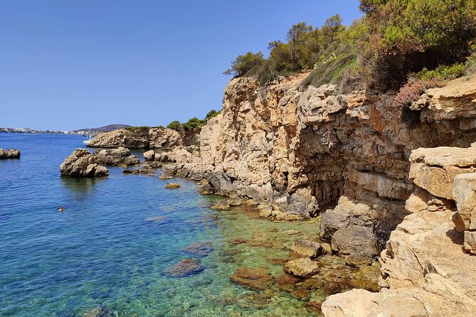 Palma de Mallorca: Small Group Tour by Locals in Hidden Coves - Swimming and snorkeling at Platja de Ses Illetes