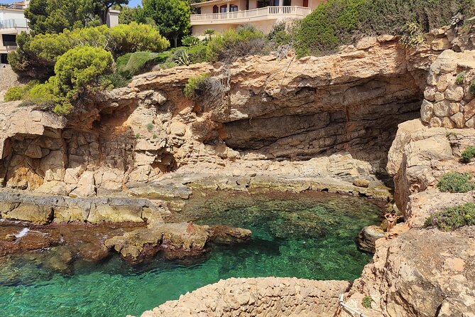 Palma de Mallorca: Small Group Tour by Locals in Hidden Coves - Starting at Fortín Militar de Bendinat