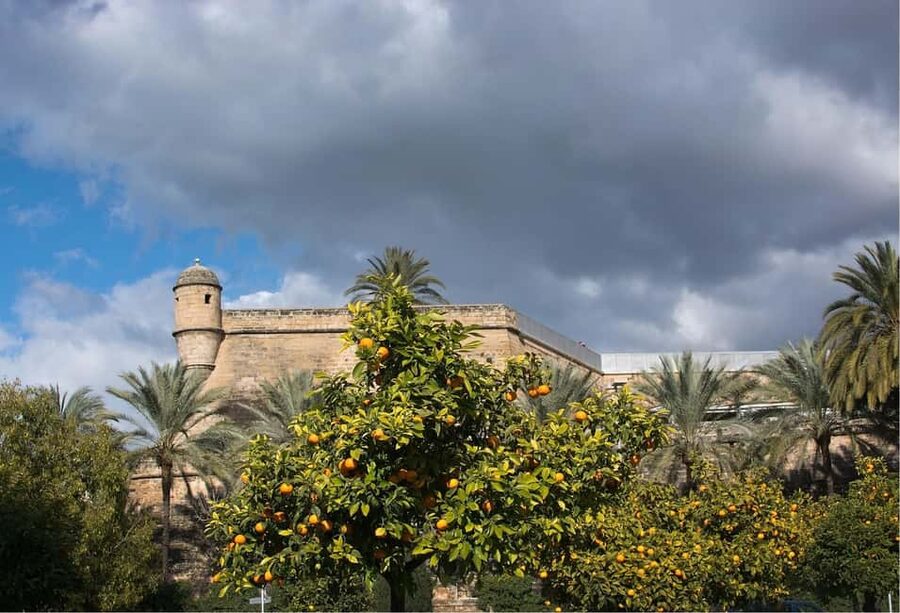 Palma de Mallorca: Small-Group Tour & Fast-Track Cathedral - Almudaina Palace and the Royal Gardens