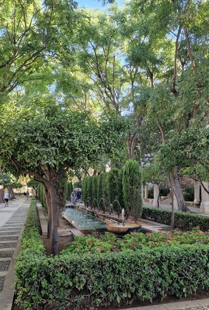 PALMA DE MALLORCA & SOLLER MIT BAHN & STADTFÜHRUNG ab Palma - Who will enjoy this full-day combination