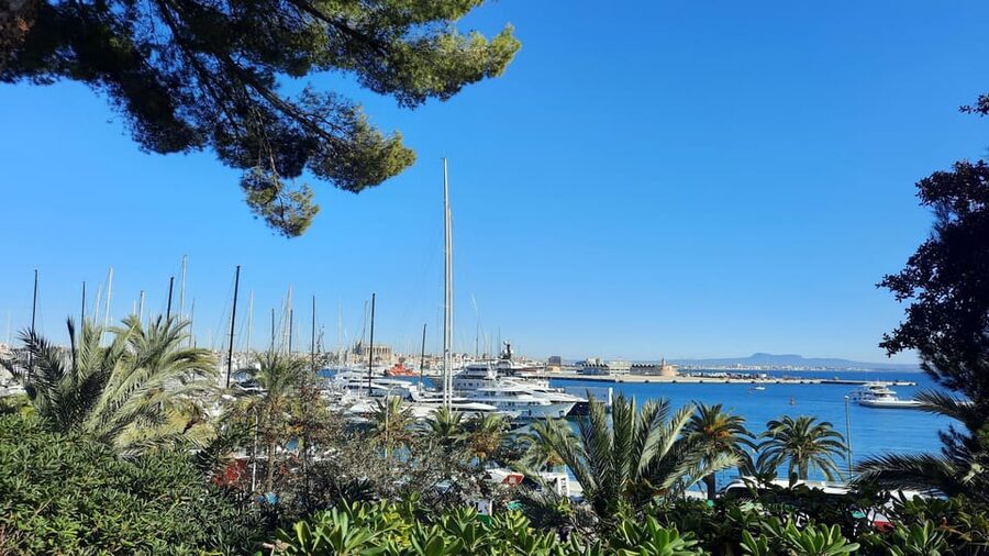 PALMA DE MALLORCA & SOLLER MIT BAHN & STADTFÜHRUNG ab Palma - The return route and final time in Palma