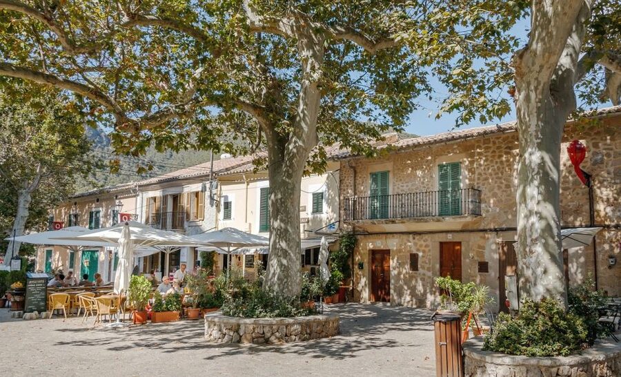 Palma de Mallorca: Son Juliana Wine Experience and Tasting - Son Juliana and the Taste of Mallorca