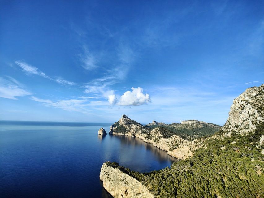 Palma de Mallorca: Son Juliana Wine Experience and Tasting - Following the Wine From Vine to Bottle